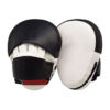 Boxing Focus Pad