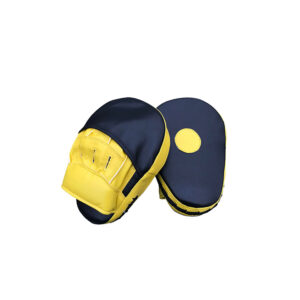 Boxing Mitts